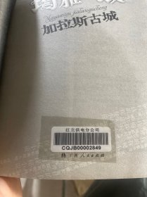 玛雅谜域1：加拉斯古城