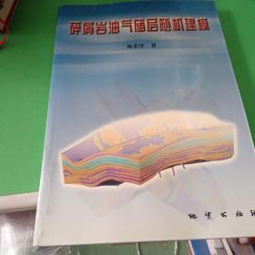 碎屑岩油气储层随机建模