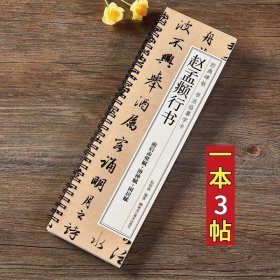 赵孟俯前后赤壁赋洛神赋闲居赋三帖行书毛笔书法字帖 赵孟頫赵体经典碑帖书法临摹字卡近距离原大版附简体旁注