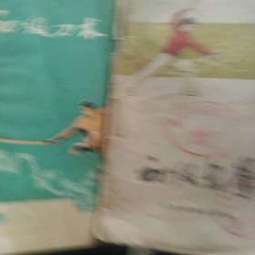 初级刀术 初级长拳2本合售如图