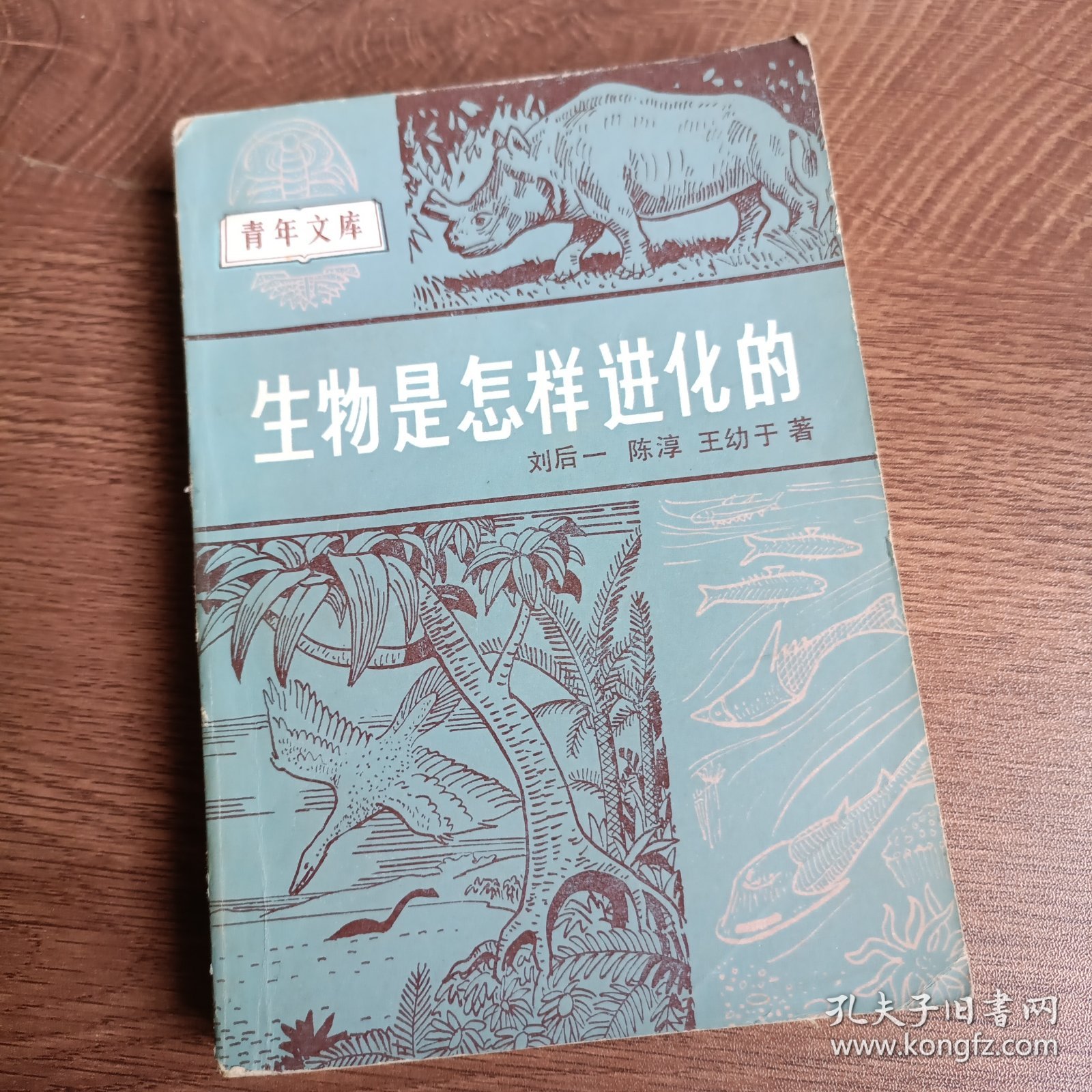 生物是怎样进化的