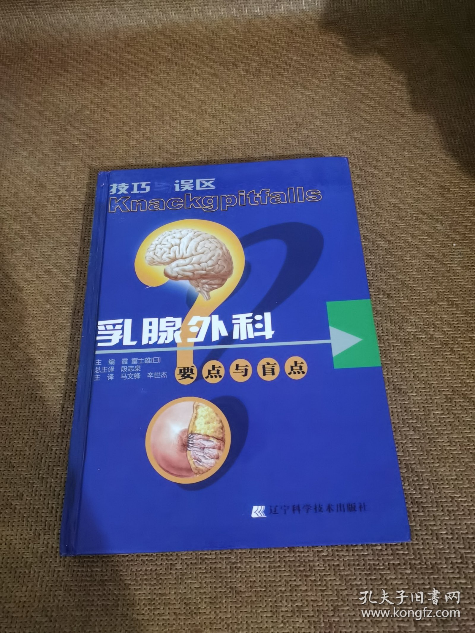 乳腺外科要点与盲点：乳腺外科要点与肓点
