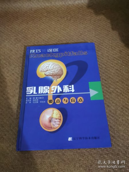 乳腺外科要点与盲点：乳腺外科要点与肓点