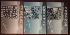 岁月文丛：没有情节的故事+枝蔓丛丛的回忆+我们都经历过的日子（三册合售）