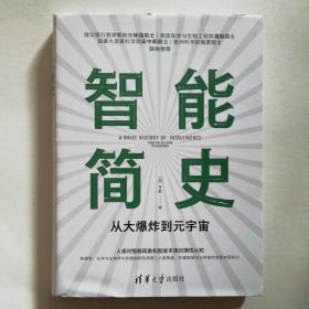 智能简史——从大爆炸到元宇宙