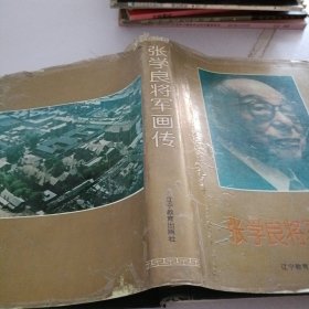 张学良将军画传