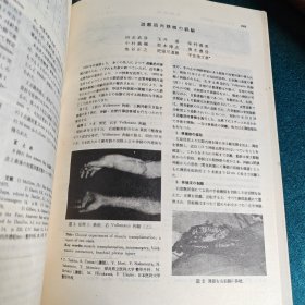 整形外科第29卷13号，昭和53年