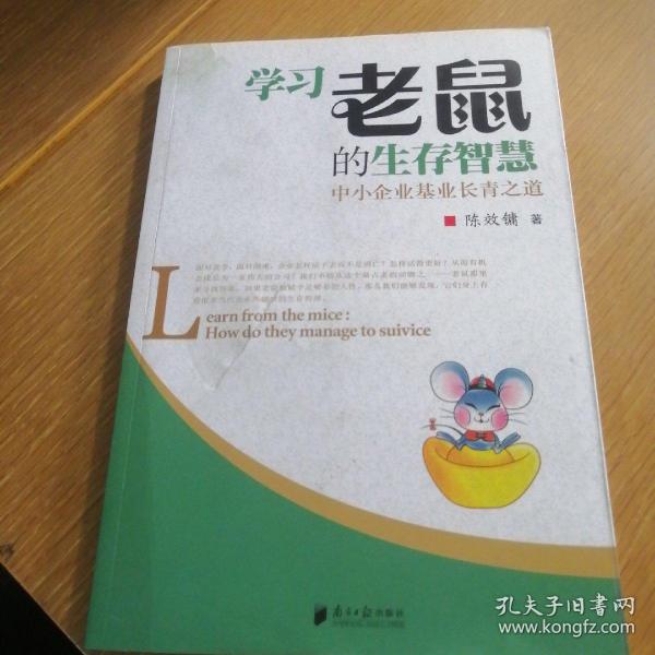 学习老鼠的生存智慧