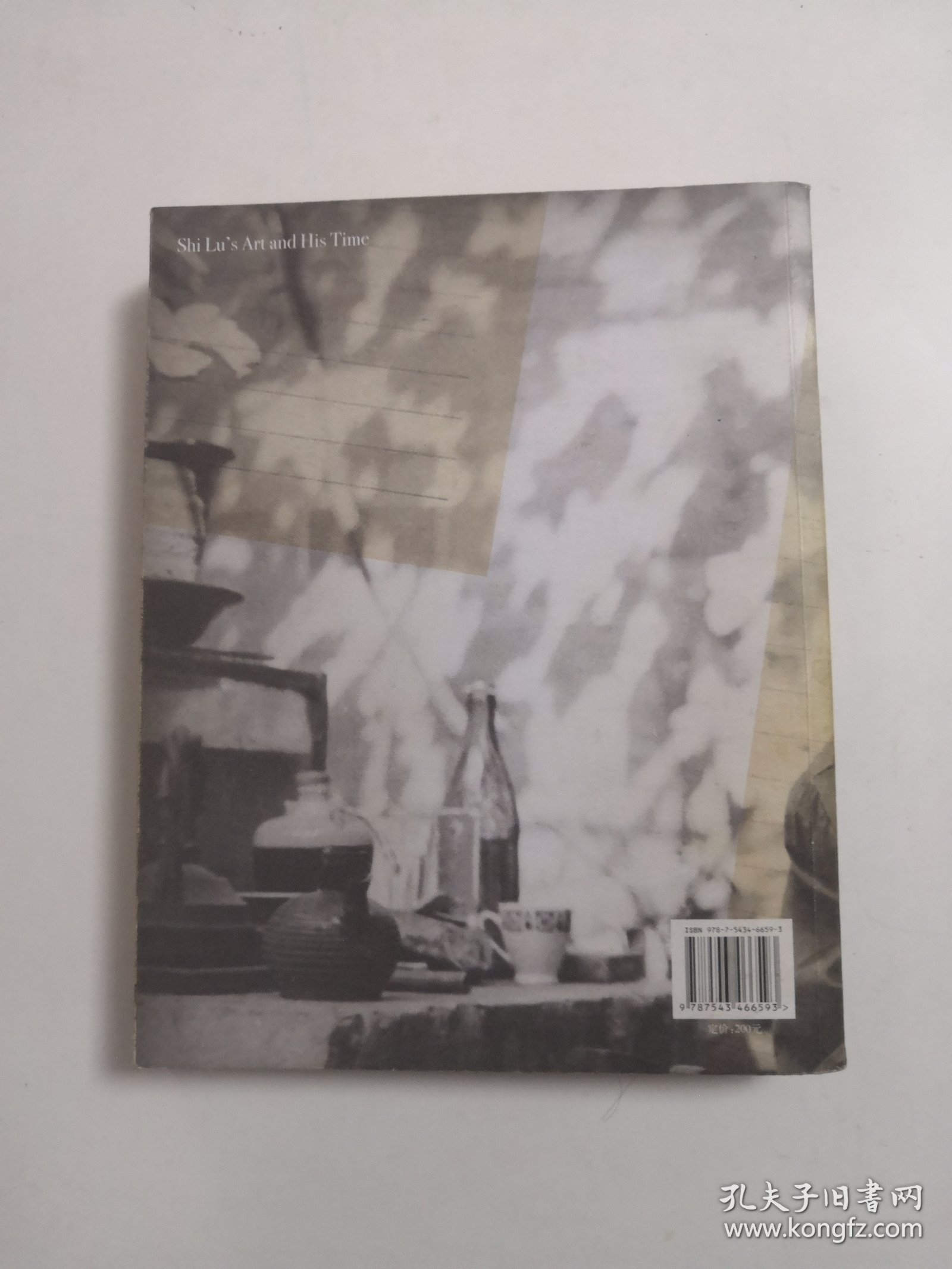 石鲁的时代与艺术