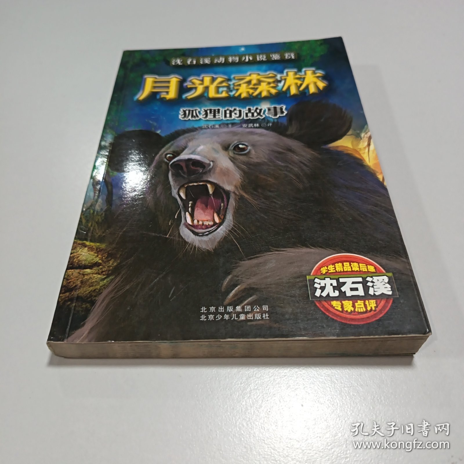 月光森林：狐狸的故事