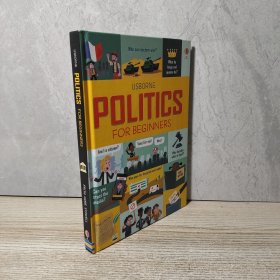 POLITICS FOR BEGINNERS