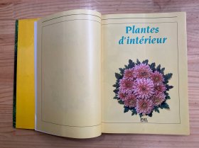 plantes d'intérieur (意大利植物)精装