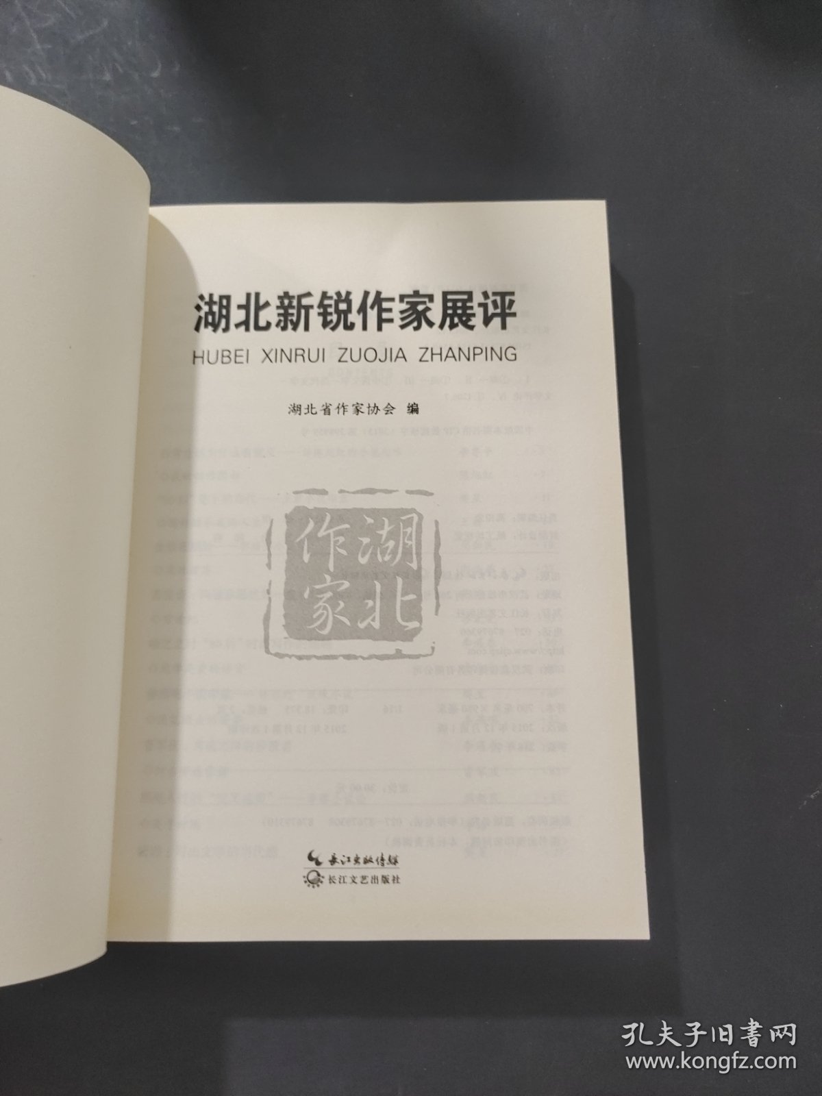 湖北新锐作家展评