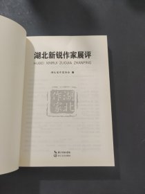 湖北新锐作家展评