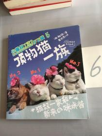 你猫叔了没？5：顶物猫一族