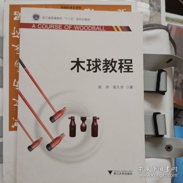 木球教程/浙江省普通高校“十三五”新形态教材