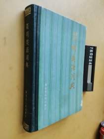 簡(jiǎn)明類語(yǔ)詞典