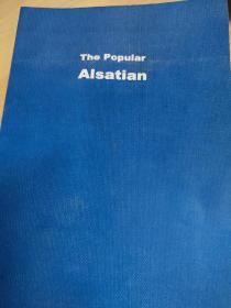 《The Popular Alsatian》著名的阿尔萨斯狼犬