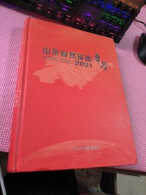 山东自然资源年鉴2021年