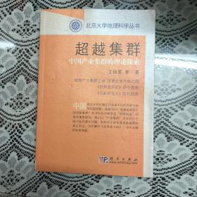 超越集群 中国产业集群的理论探索