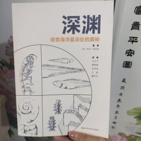 深渊：探索海洋最深处的奥秘。