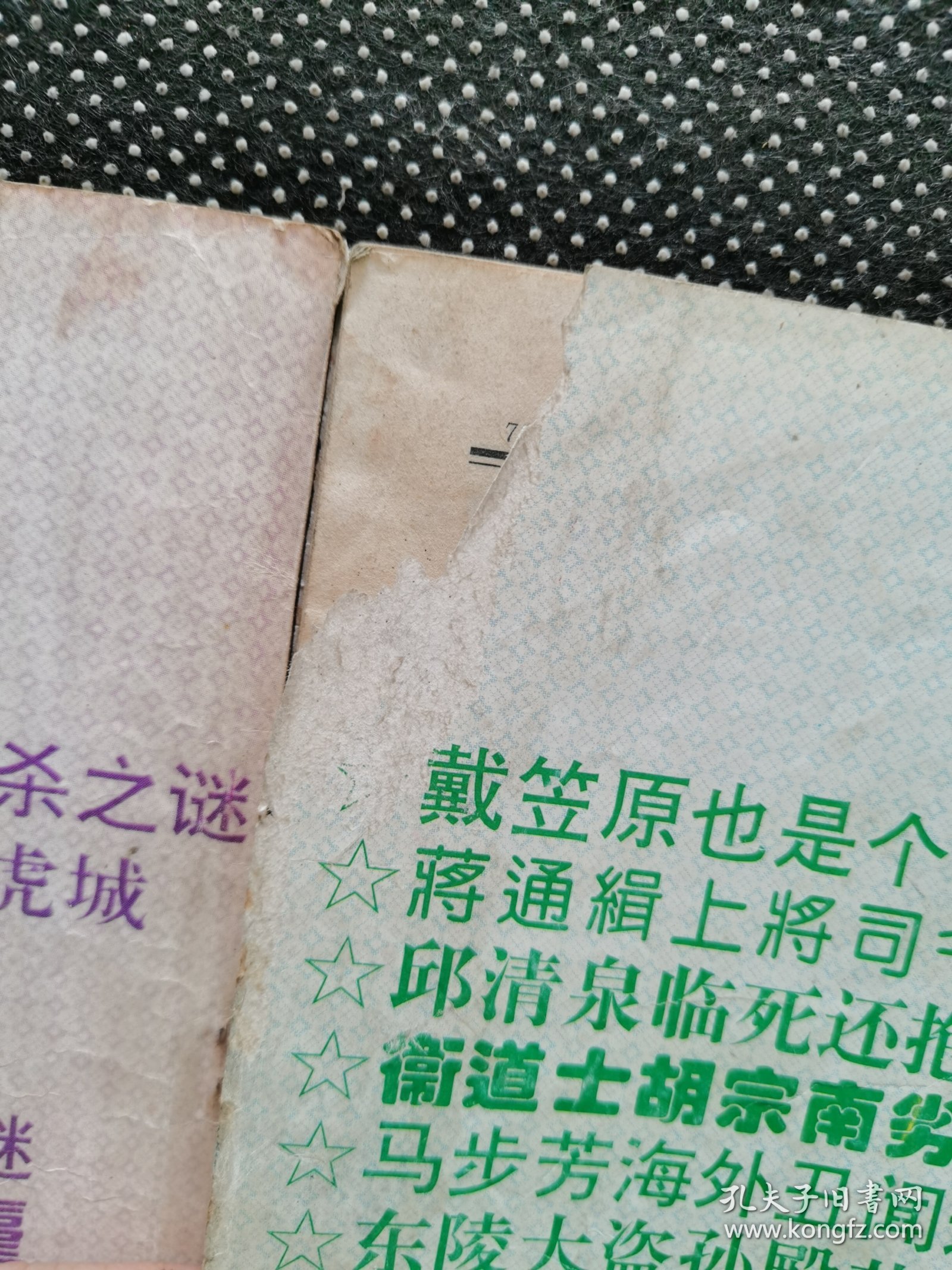 蒋介石劣将丑行录十蒋介石儒将沉浮录（2册合售）