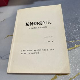 精神明亮的人:王开岭散文随笔自选集