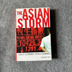 The Asian Storm: Asians Economic Crisis Examined（亚洲风暴：亚洲经济危机审视） 英文原版 布面精装