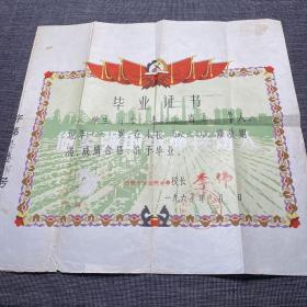 毕业证书（1965年8月） 西安市东厅门小学