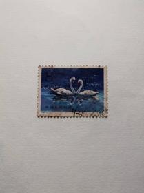1983.T.83.（4-2）天鹅邮票1枚
