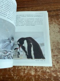到南极
