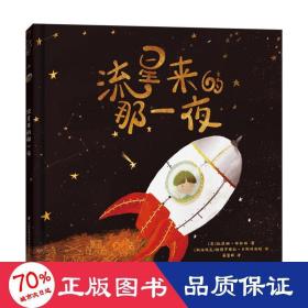 流星来的那一夜 奇境系列软科普绘本 小竹马童书