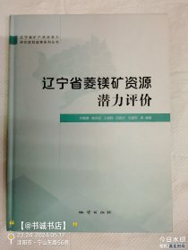 辽宁省菱镁矿资源潜力评价