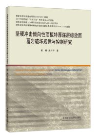 堅(jiān)硬沖擊傾向性頂板特厚煤層綜放面覆巖破壞規(guī)律與控制研究