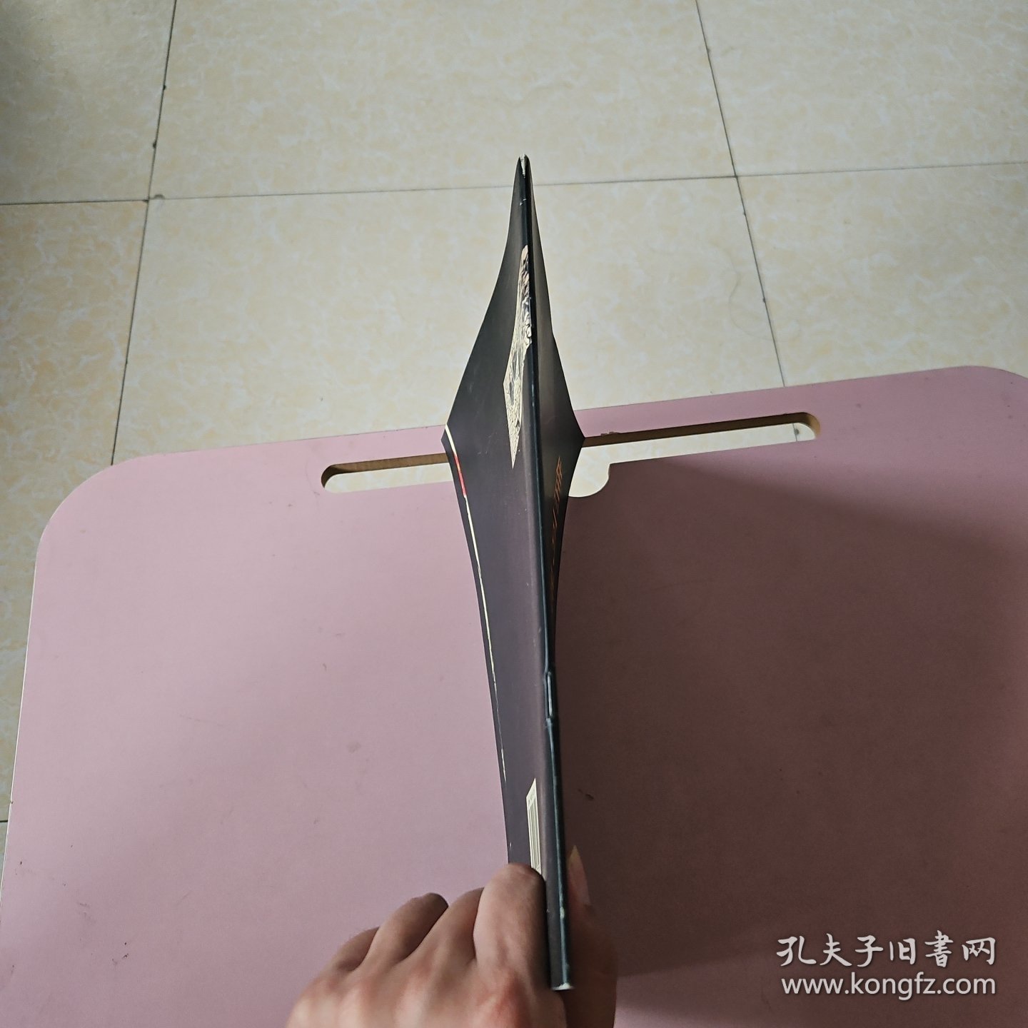 中国实力派名家名作 焦可群