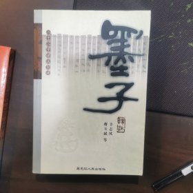 二十二子详注全译丛书：墨子译注