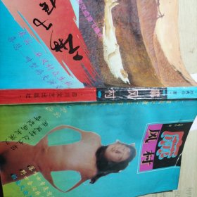 書名麻風(fēng)村