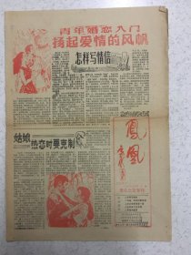 凤凰 青年之友专刊 试刊第七期 试刊第九期