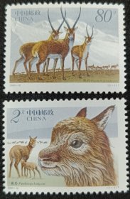 2003-12藏羚羊邮票
