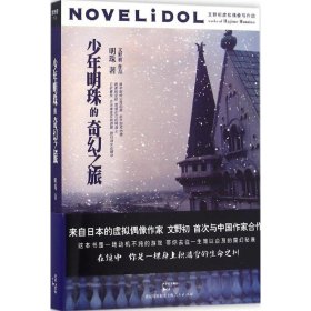 少年明珠的奇幻之旅明珠 著上海人民出版社