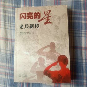 闪亮的星：老兵新传