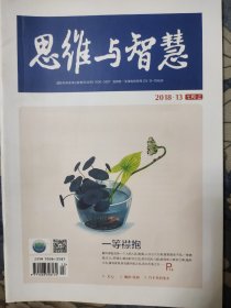 《思维与智慧》2018.13