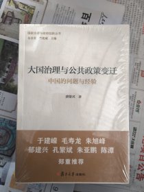 大国治理与公共政策变迁：中国的问题与经验（国家治理与政府创新丛书）