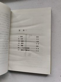 当代中国社会写实小说大系2 铲案