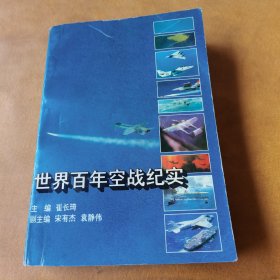 世界百年空战纪实