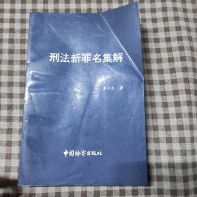 刑法新罪名集解婁云生