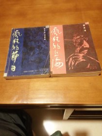 疯狂的节日丶疯狂的上海（无划痕）