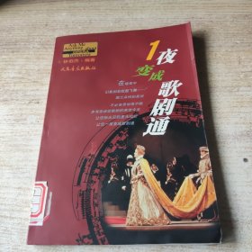 1夜变成歌剧通【有水印褶皱】
