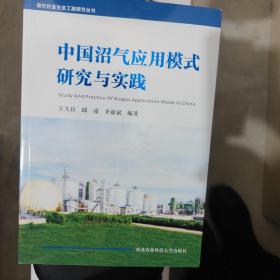 中国沼气应用模式研究与实践/现代农业生态工程研究丛书