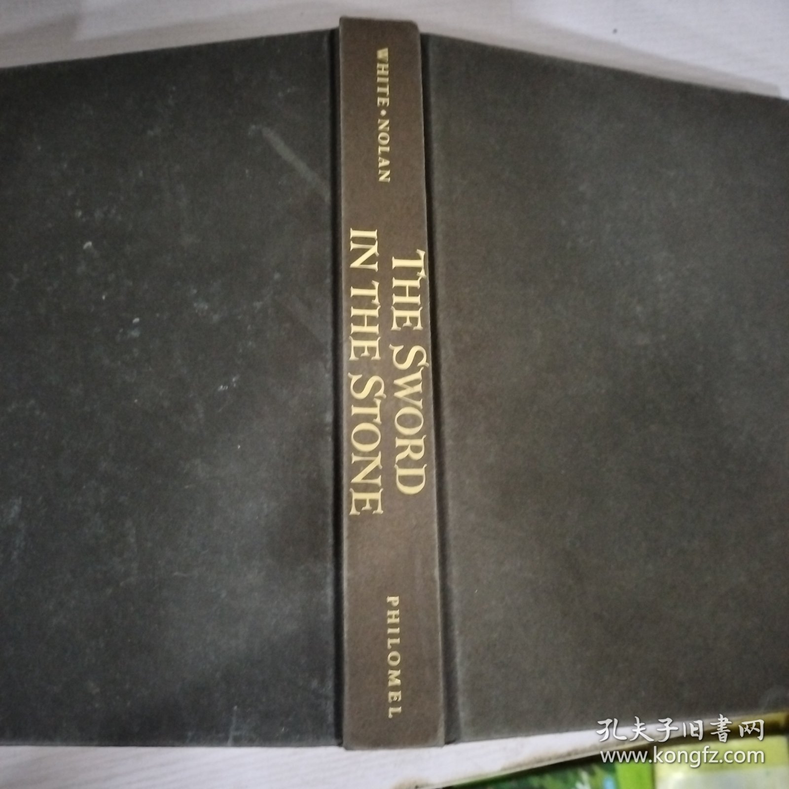 The Sword in the Stone